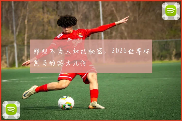 那些不为人知的秘密，2026世界杯黑马的实力几何