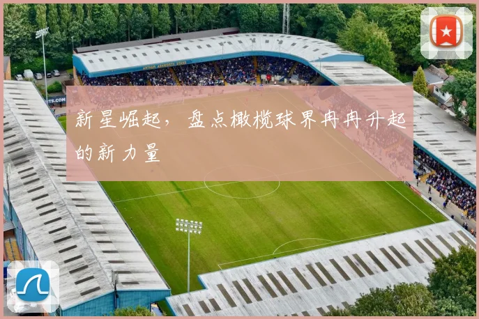 新星崛起，盘点橄榄球界冉冉升起的新力量