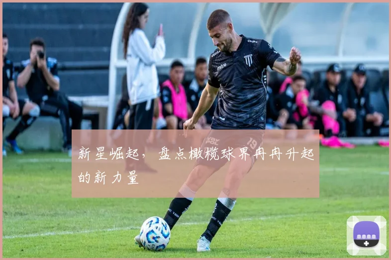 新星崛起，盘点橄榄球界冉冉升起的新力量